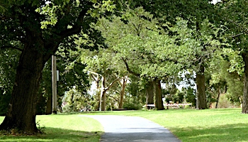 Mountain View San Francisco Bay Area